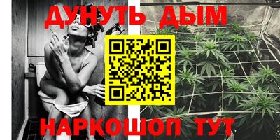 стаф Лесосибирск