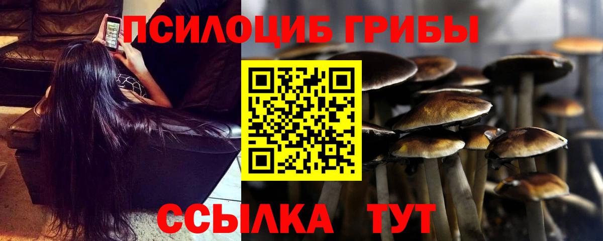 Дзержинский  Псилоцибиновые грибы Psilocybine cubensis  Вход с VPN  Галлюциногенные грибы Cubensis 