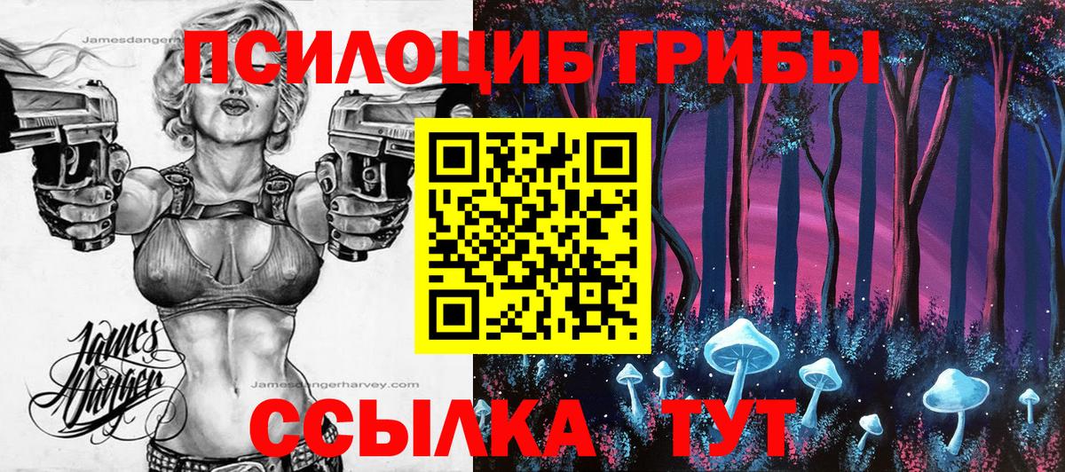 Галлюциногенные грибы Psilocybine cubensis Дзержинский